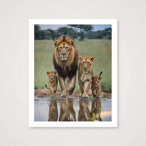 Side by Side — 81×99cm, 32×39" Print only