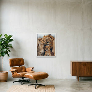 Our Pride — 40×50cm, 16×20" White Frame